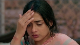 Binddii - 10th November 2025